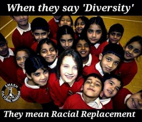 Read more about the article diversity really means…