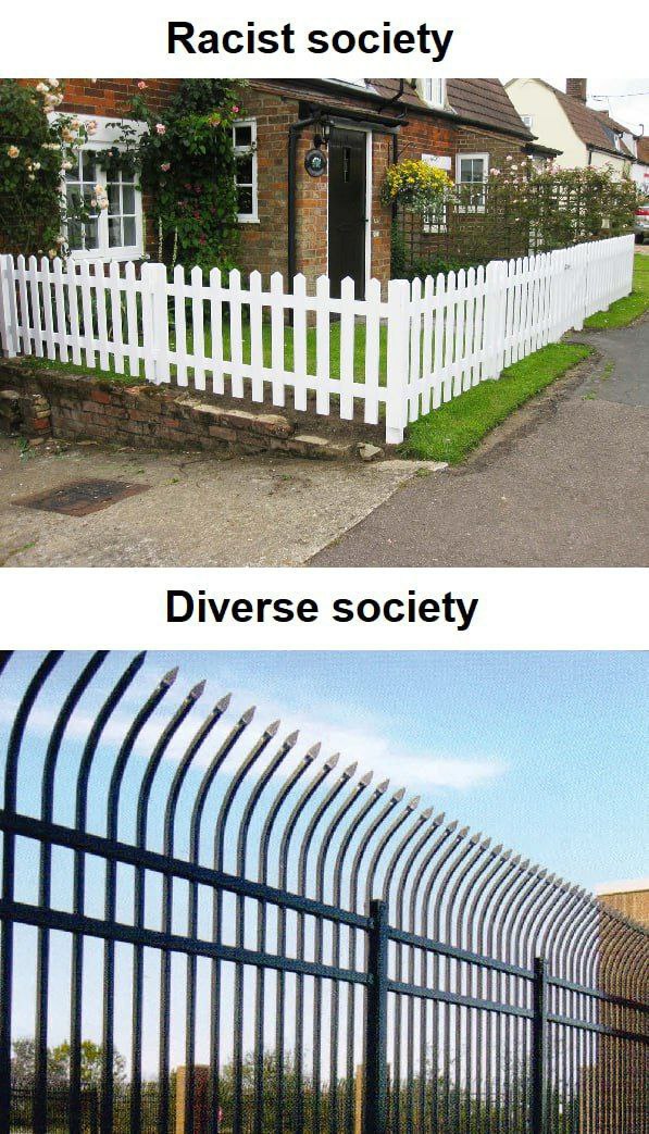 Read more about the article fences tell you everything about a neighborhood