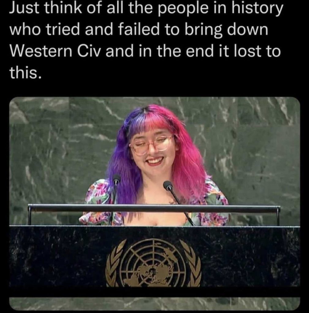 woman-with-pink-and-purple-hair-speaking-at-UN-bring-down-western-civ-1009x1024.jpg
