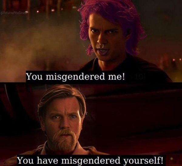 anakin-obi-wan-you-misgendered-yourself-600x548.jpg