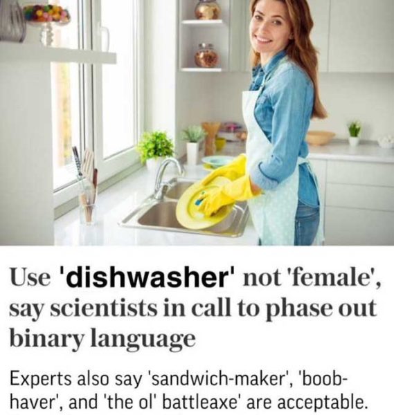 scientists-binay-language-female-dishwasher-569x600.jpg