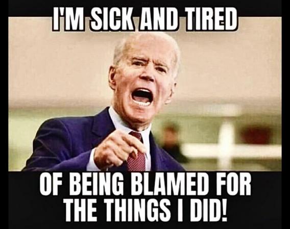 biden sick of being blamed for the things I did