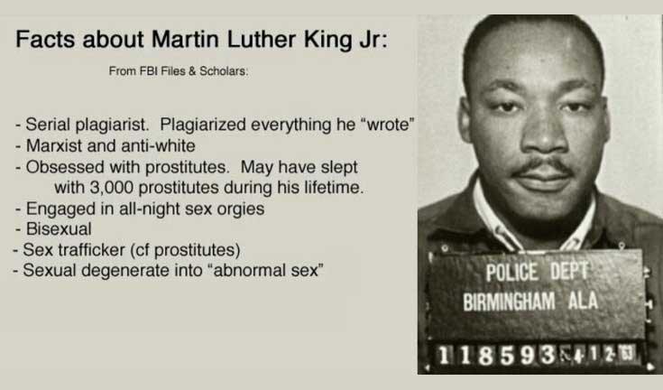 Read more about the article historical MLK facts