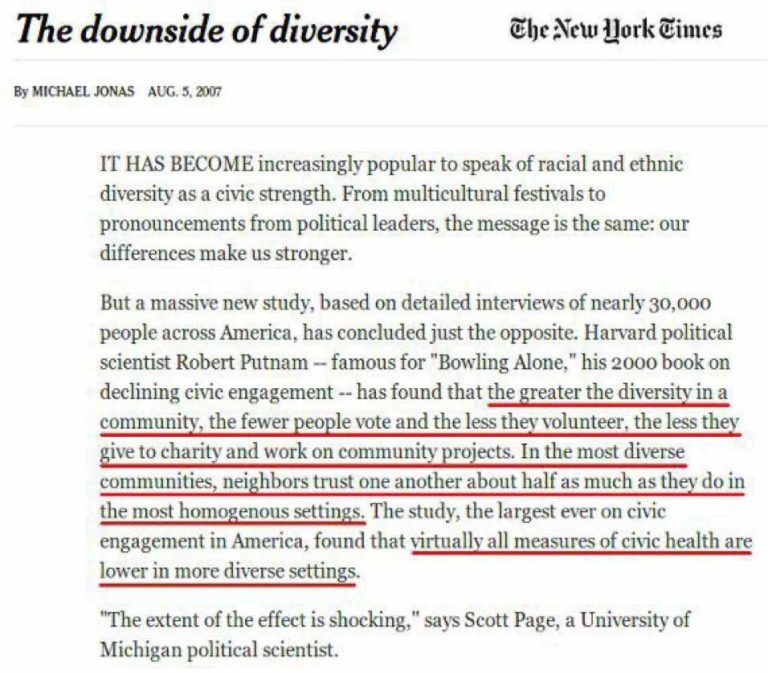 new-york-times-nyt-aug-5-2007-the-downside-of-diversity-768x674.jpg