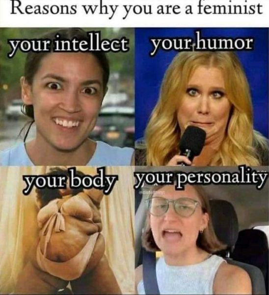 reasons-why-you-are-a-feminist-aoc-amy-schumer-548x600.jpeg