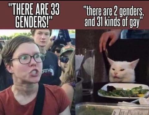 Read more about the article how many genders are there?