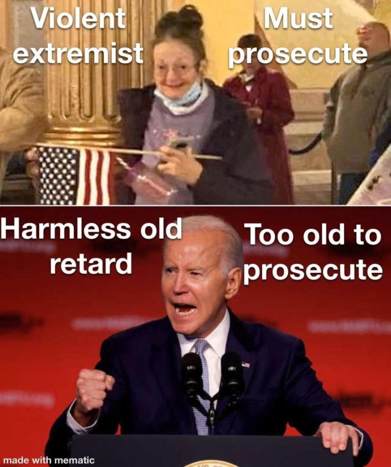 extremist-Jan-6-in-capitol-prosecuted-biden-too-old-768x916.jpg